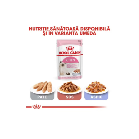 Hrana Pisica Fhn Kitten 400gr 249230 Royal Canin [1]