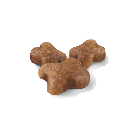 Hrana Uscata Pisici Royal Canin FHN Kitten 10 kg [1]