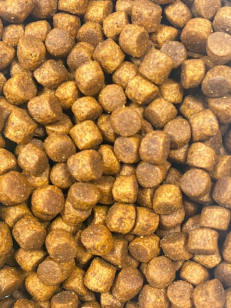 Reflex – Hrană Uscată Premium pentru Pisici Adulte (15kg) [1]