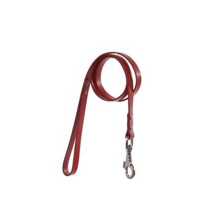 Accesorii caini - Lesa 10/110mm Rosie