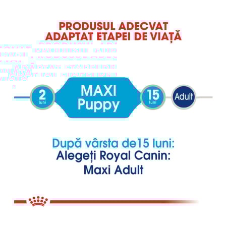 Plic Maxi Puppy 140gr Caine Br29x Royal Canin [5]