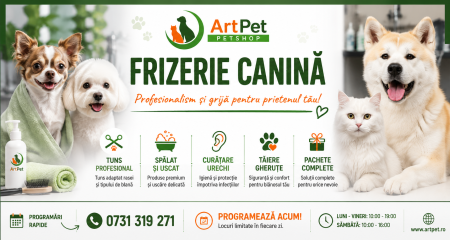 Prestari Sevicii Frizerie [5]