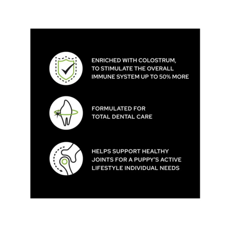 Pro Plan Caine Puppy Large Robust Cu Pui 3kg [1]