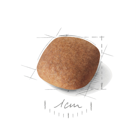 Royal Canin Bichon Frise Adult 1,5 Kg Hrana Uscata Caini [1]