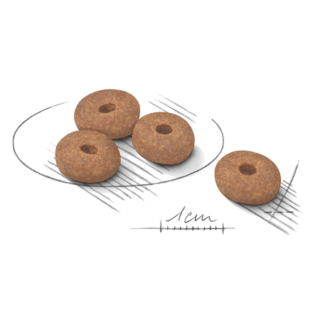 Royal Canin CCN Mini Light Weight Care 1Kg 272210 [1]