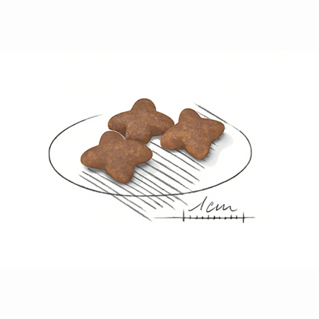 Royal Canin Mini Adult Hrana Uscata Caini [1]