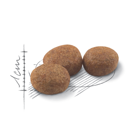 Royal Canin Sterilised 37 Hrana Uscata Pisici 10kg [1]