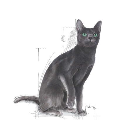 Royal Canin Sterilised 37 Hrana Uscata Pisici 10kg [2]