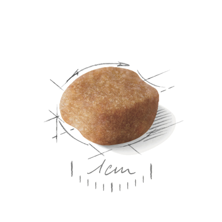 Royal Canin Yorkshire Adult Hrana Uscata Caini [1]