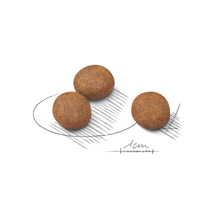 Shn Maxi Puppy 15Kg  Royal Canin [1]