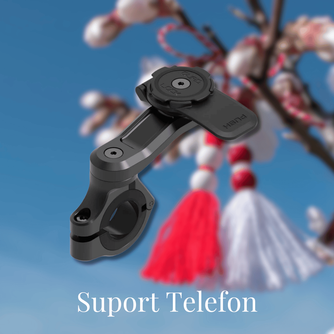 Banner V-Day 2024 - Suport de telefon