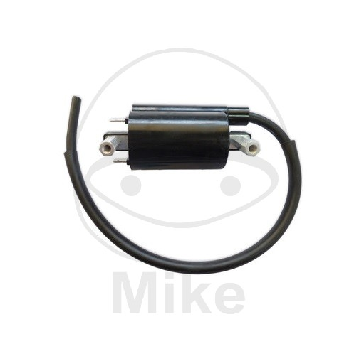 Bobina de inductie JMT 12 V [1]