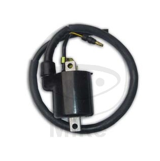 Bobina de inductie JMT 12 V [1]