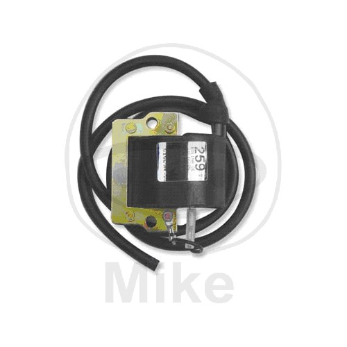 Bobina de inductie JMT 12 V [1]