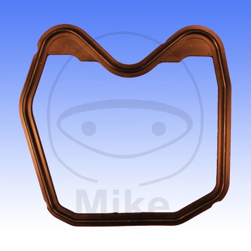 Garnitura capac chiulasa ATHENA S410010015002 [1]