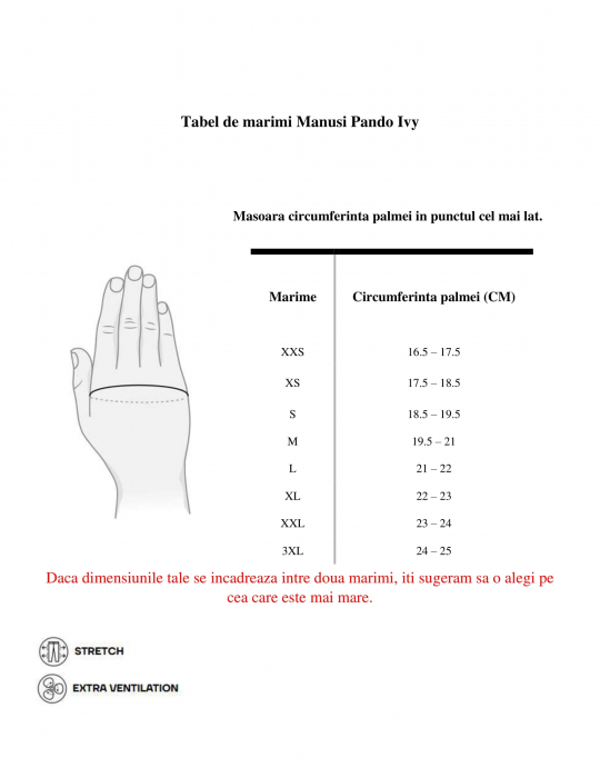 Manusi Pando Ivy [2]