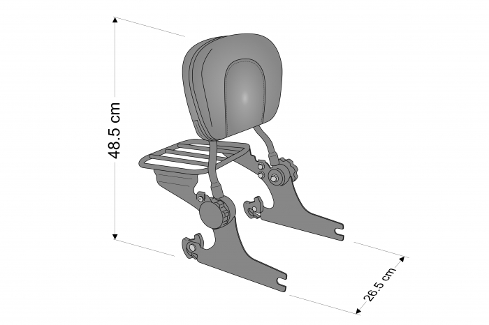 Sissybar plane CUSTOMACCES LUXUS SPORTSTER RSD102J stainless steel [2]