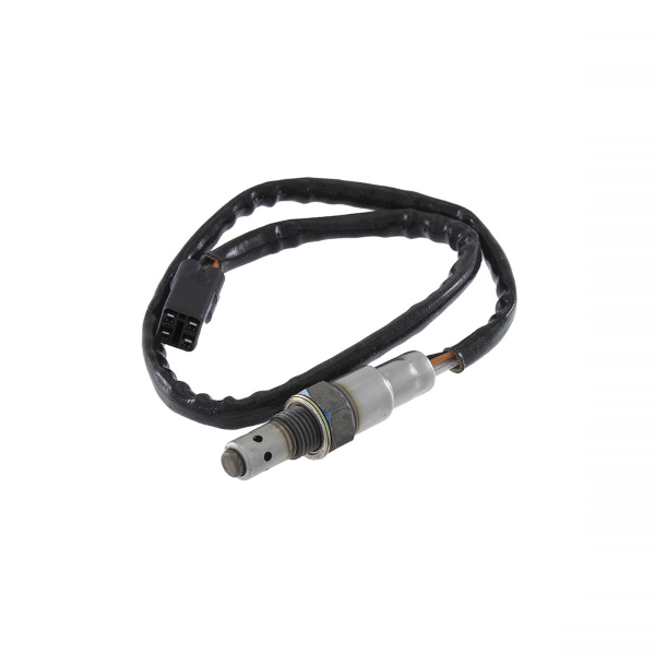 Temperature sensor RMS 100120510 [1]