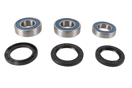 Wheel Bearing Kit All Balls Racing 25-1798 WB25-1798 spate [1]