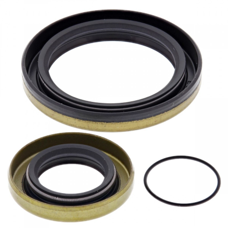 Piese moto - Kit garnituri arbore cotit All Balls Racing CS24-2005