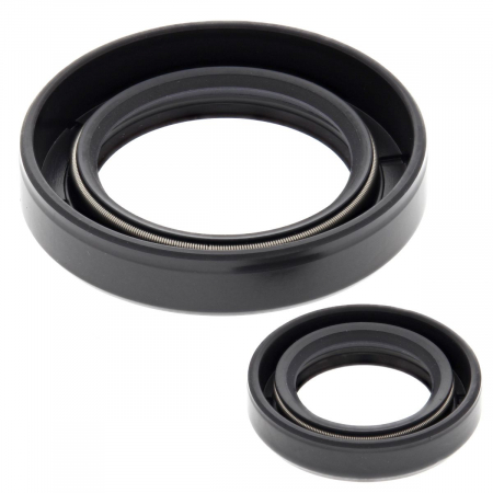 Piese moto - Kit garnituri arbore cotit All Balls Racing CS24-2010