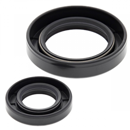 Piese moto - Kit garnituri arbore cotit All Balls Racing CS24-2011