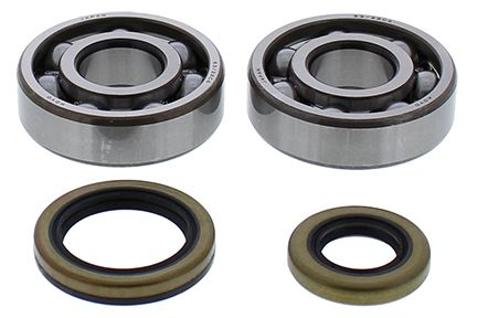 Piese moto - Kit garnituri si simeringuri arbore cotit All Balls Racing CB24-1047