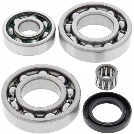 Piese moto - Kit rulmenti si garnituri diferential All Balls Racing DB25-2018
