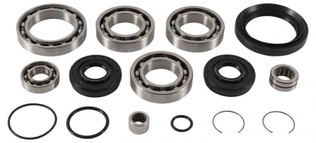 Piese moto - Kit rulmenti si garnituri diferential All Balls Racing DB25-2110