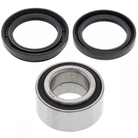 Piese moto - Kit rulmenti si garnituri roata All Balls Racing WB25-1434
