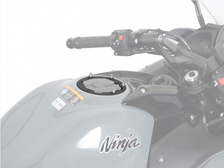 Pin system SHAD X025PS [2]