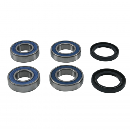 Piese moto - Wheel Bearing Kit All Balls Racing WB25-1818 spate