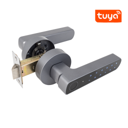 D100-BT * Incuietoare smart cu amprenta, bluetooth, cod PIN si cheie, compatibila cu WiFi Gateway [2]