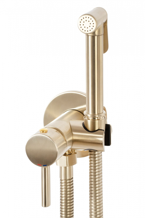 Baterie Bideu Lungo Loop Gold Brush, montaj incastrat, alama, auriu [3]