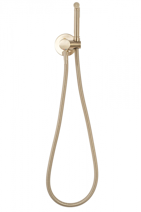 Baterie Bideu Lungo Loop Gold Brush, montaj incastrat, alama, auriu [4]
