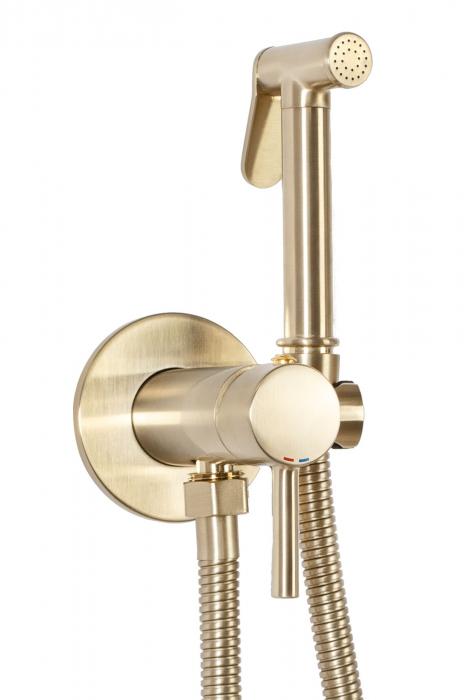 Baterie Bideu Lungo Loop Gold Brush, montaj incastrat, alama, auriu [1]