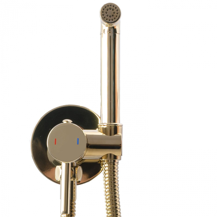 Dus Igienic Bideu Lungo Loop Gold, montaj incastrat, alama, auriu [2]