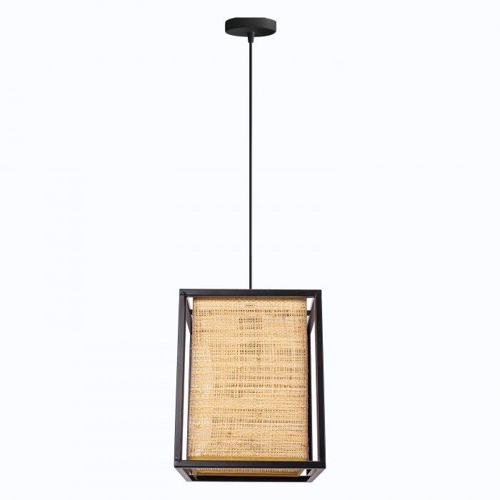 Lampă de tavan APP1285-1CP [4]