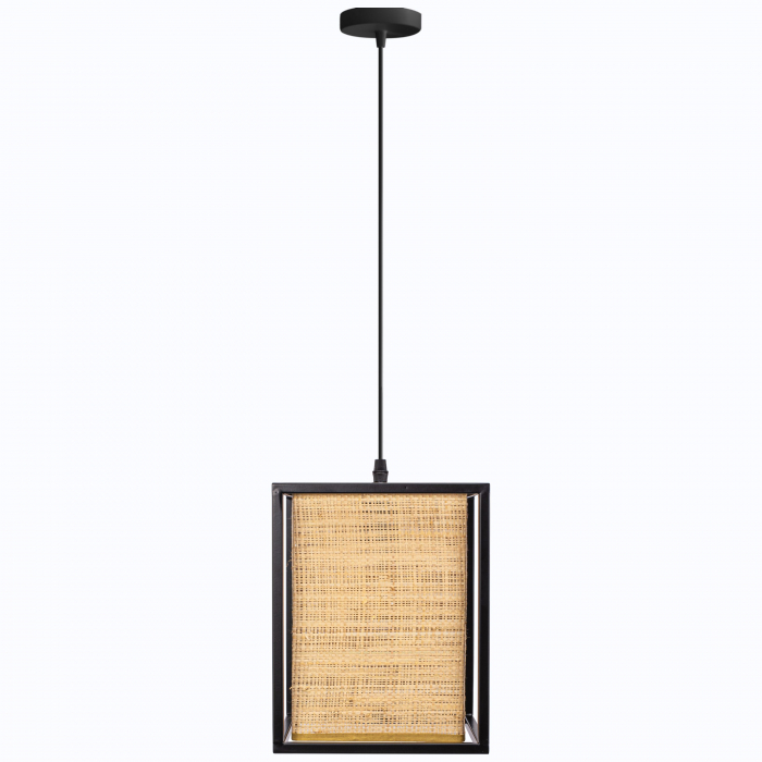 Lampă de tavan APP1285-1CP [2]