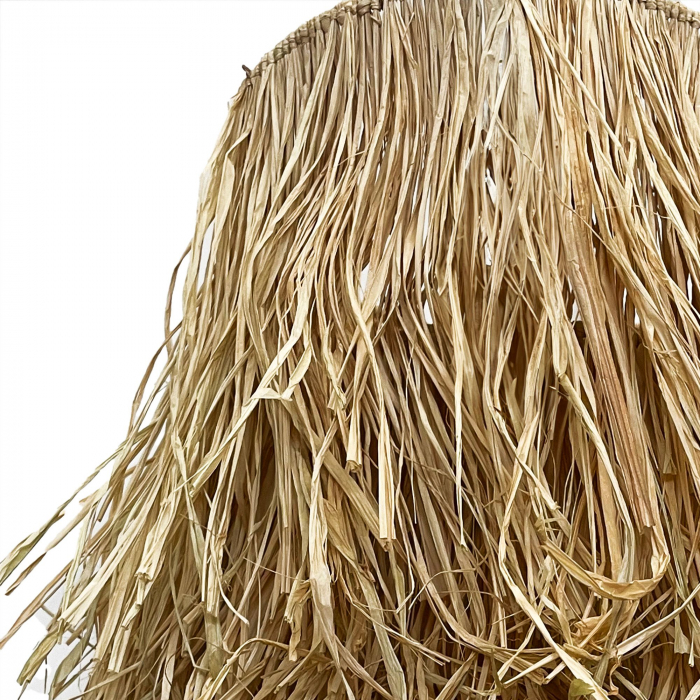 Lampă de tavan APP1322-1CP [4]