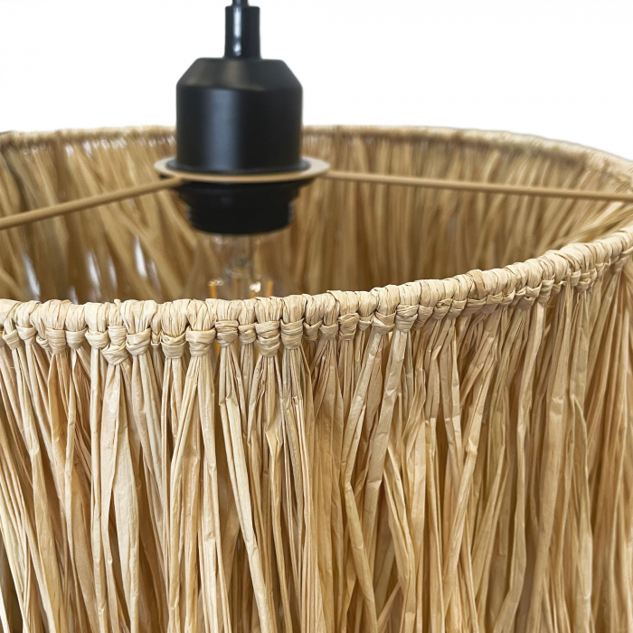 Lampă de tavan APP1322-1CP [3]