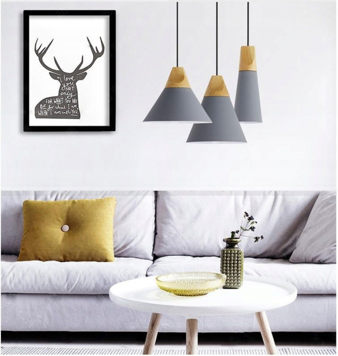 Lampa DE TAVAN SCANDIC C alb [9]