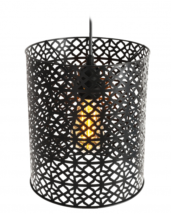 LAMPA DE TAVAN SUSPENDABILA IN STIL loft LH2043 [3]