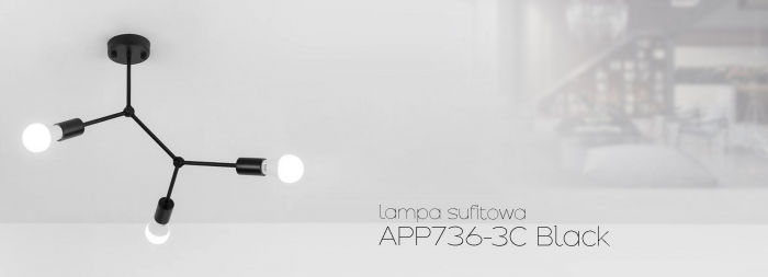 LAMPA PLAFON CLASICA NEAGRA METAL LOFT APP736-3C [5]