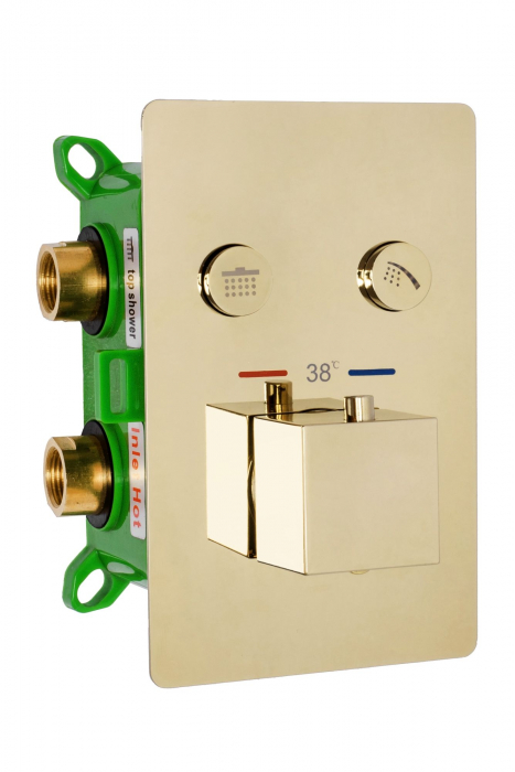 Set de dus Fenix Davis Gold Box, anti calcar, auriu, montaj incastrat [2]