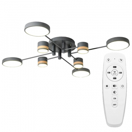 Corpuri de iluminat - LAMPĂ DE PLAFON GRI APP528-8C