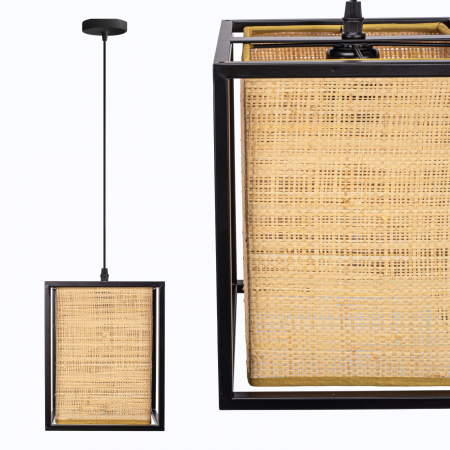 Lustre si pendule - Lampă de tavan APP1285-1CP