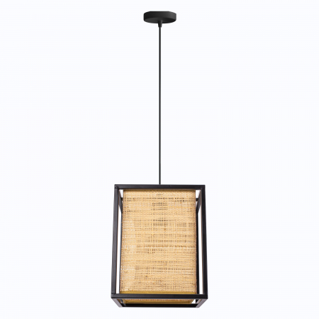 Lampă de tavan APP1285-1CP [3]