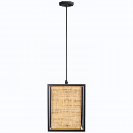 Lampă de tavan APP1285-1CP [1]