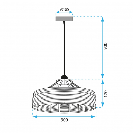 Lampă de tavan APP1317-1CP [5]